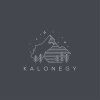 Kalonegy Inc Logotype