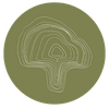 Scandi Shrooms Logotipo