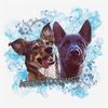Amber's Dogwise Logotype