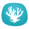 Reef In Peace Logotyp