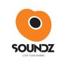Soundz Logotip