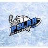 Polar Ice Logotip