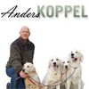 anderskoppel.se (KCO)(Native)(B2B/B2C) Logotyp