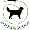 zoomscoop.com Logotype