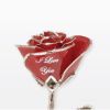Love Is A Rose Logotype