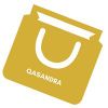 QASANDRA Logotype