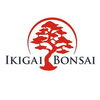 Ikigai Bonsai - Julien Trippner Logo