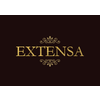 Extensa Logotype
