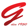Saloanele Igiena Logotyyppi