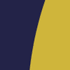American Football Schiefbahn Riders e.V. Logotyp