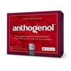 Anthogenol® Shop Deutschland Logotype