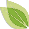 markbailey.net Logotype