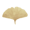 UNE FOODS Logotyp
