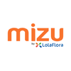 Mizu Logotipo