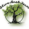 Olive Drab Farm Logotyyppi