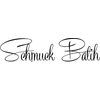 Volodymyr Batih Logotyp