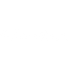 Chameleon Codewing Limited Logotype