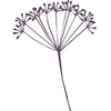 Det Grønne Univers Logo