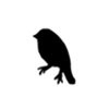 Albert’s Bird Logó