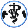 Suture Central Logotype