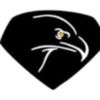 Black Eagle Academy Logotyp
