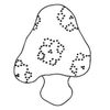 byMush Logo