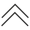 Saguaro Logotipo