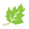 plantomol Logo
