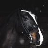 MagicHorseDesign Logotype