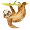 amazoniavanilla.com Logotyp