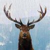 Nature Art Store Logotyyppi