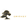 Bonsai cricket Logotype