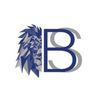 BlickSolutions Logotype