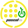 Pascal Box Logotype