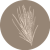 srl Atelier La Planche 