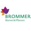 Blumen Brommer Logotype