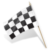 Stichting Binckracing Logotyp