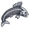 Skargard Fishing Logotip