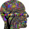 Psychedelics Clothing Logó