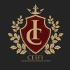 CEEFI INTERNATIONAL BUSINESS SCHOOL Logotipo