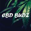 BUDZ Deutschland Logotype