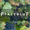 PFALZBLUT Logotype