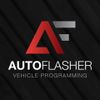 Die Autoflasher GmbH Logotyp