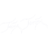 Taijn Torijn Logotype