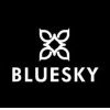 BLUESKYNAILS.DE Logo
