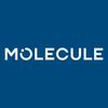 MOLECULE Logotyp