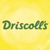 Driscoll's Logotipo