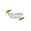 exclusive plants Logotype