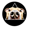Born to Be Dog Training LLC Logotype