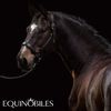 EQUINOBILES Logotype
